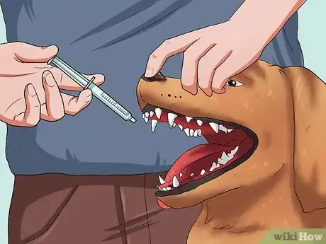 Imagen titulada Get Your Dog to Swallow a Pill Step 7