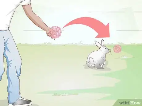 Imagen titulada Exercise Your Rabbit Step 3