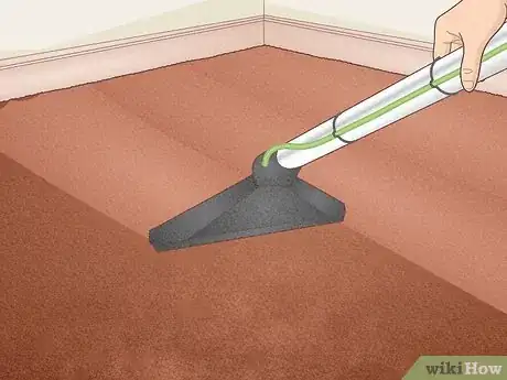 Imagen titulada Remove Hair from a Carpet Without Vacuuming Step 12