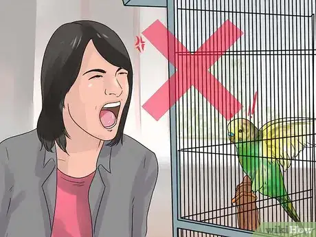 Imagen titulada Stop a Budgie from Biting Step 7