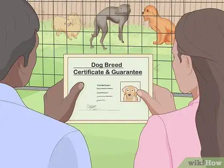 Imagen titulada Report an Unethical Dog Breeder Step 10