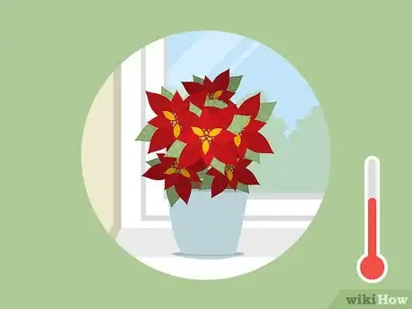 Imagen titulada Care for Poinsettias Step 8