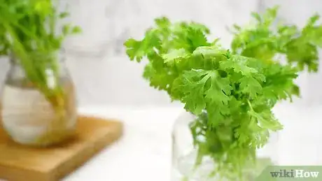 Imagen titulada Keep Cilantro Fresh Step 17