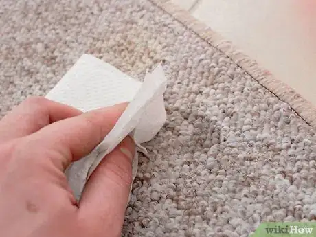 Imagen titulada Get Stains Out of Carpet Step 25