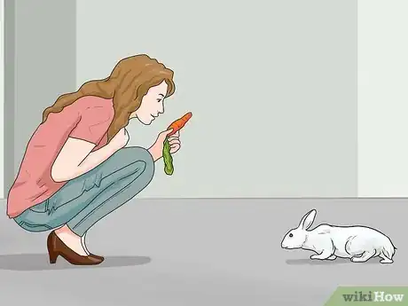 Imagen titulada Teach Your Rabbit to Come when Called Step 8