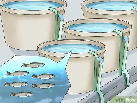 Imagen titulada Start a Fish Hatchery Step 23