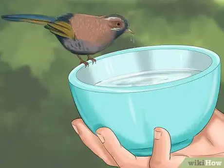 Imagen titulada Make Baby Bird Rescue Food Step 1