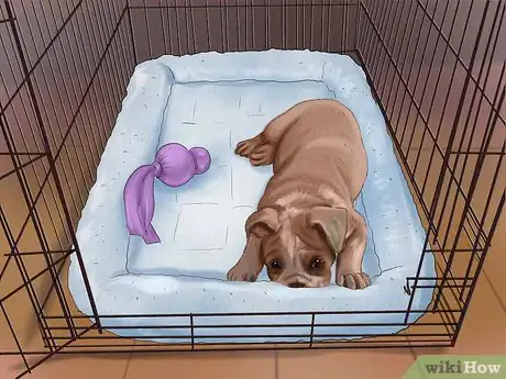 Imagen titulada Crate Train Your Dog or Puppy Step 28