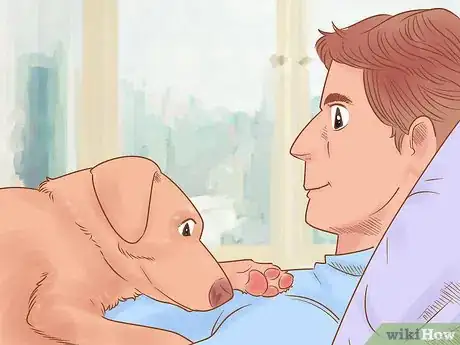 Imagen titulada Know if Your Dog Likes You the Best Step 5