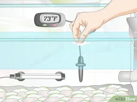 Imagen titulada Clean Aquarium Gravel Step 13