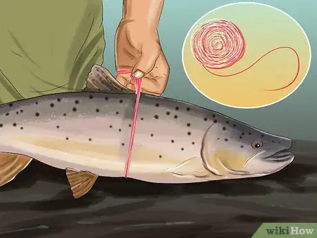 Imagen titulada Measure Fish Step 8