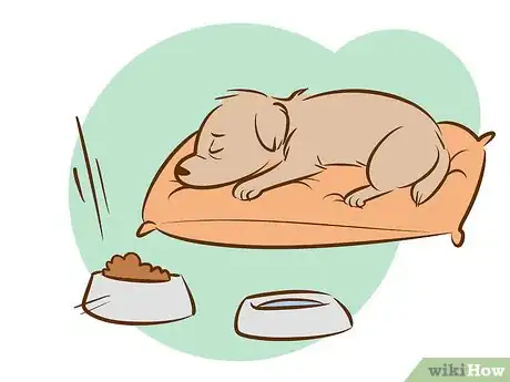 Imagen titulada Recognize a Dying Dog Step 11