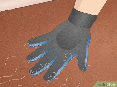 Imagen titulada Remove Hair from a Carpet Without Vacuuming Step 11