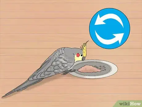 Imagen titulada Treat Diarrhea in Cockatiels Step 11