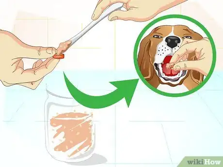 Imagen titulada Get Your Dog to Take His Medicine Step 8