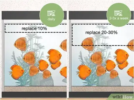 Imagen titulada Breed Discus Step 5