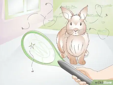 Imagen titulada Prevent Fly Strike in Rabbits Step 12