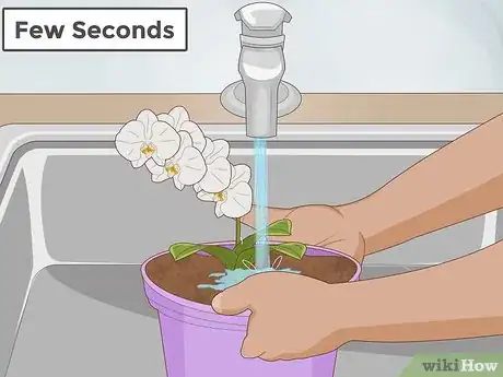 Imagen titulada Plant Orchids in a Pot Step 9