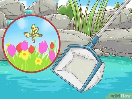 Imagen titulada Clean a Koi Pond Step 6