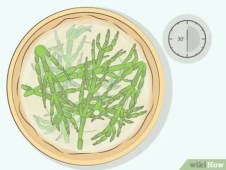 Imagen titulada Cook Sea Asparagus Step 16