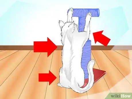 Imagen titulada Get Your Cat to Use a Scratching Post Step 11