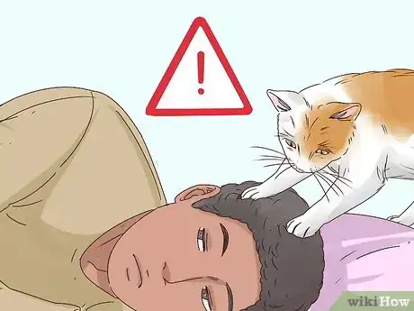 Imagen titulada Get Your Cat to Sleep With You Step 8