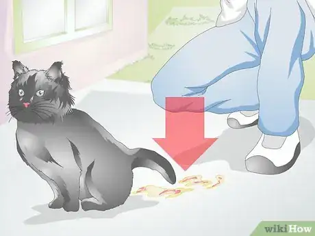 Imagen titulada Take Care of a Pregnant Cat Step 11