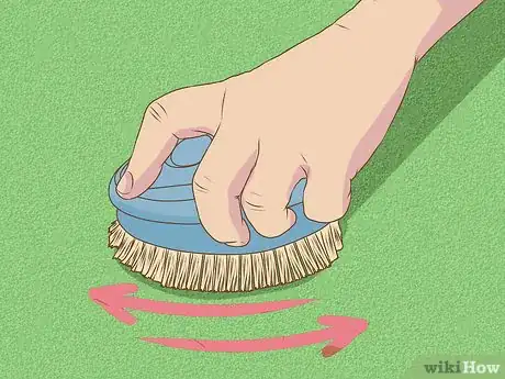 Imagen titulada Make a Carpet Cleaning Solution Step 12