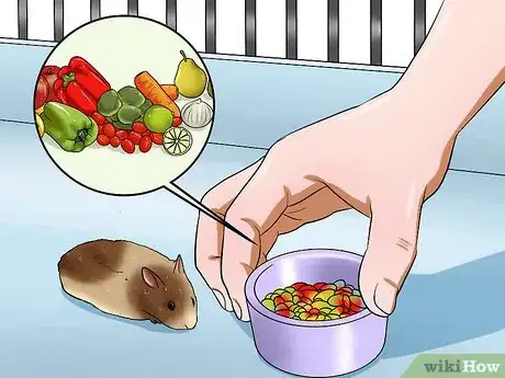 Imagen titulada Make Hamster Health Food Step 1