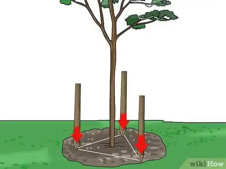 Imagen titulada Stake up a Bush or Tree Step 7