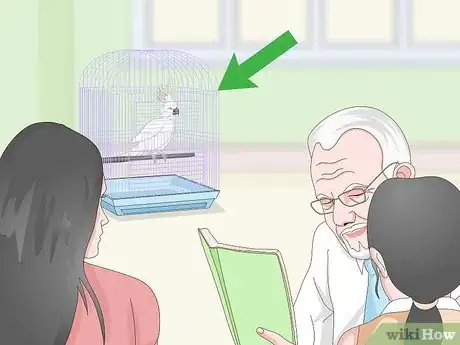 Imagen titulada Deal with an Aggressive Cockatoo Step 6