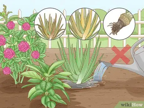 Imagen titulada Choose the Best Time for Watering a Garden Step 7