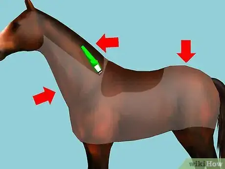 Imagen titulada Clip Your Horse Step 5