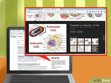 Imagen titulada Tell the Difference Between Prokaryotes and Eukaryotes Step 6