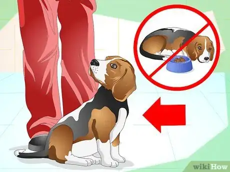 Imagen titulada Understand What Your Dog Wants Step 7