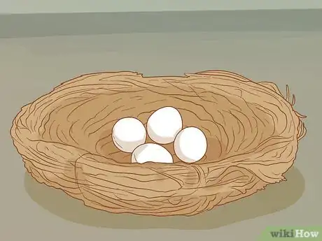 Imagen titulada Tell if a Bird Egg Is Infertile Step 6