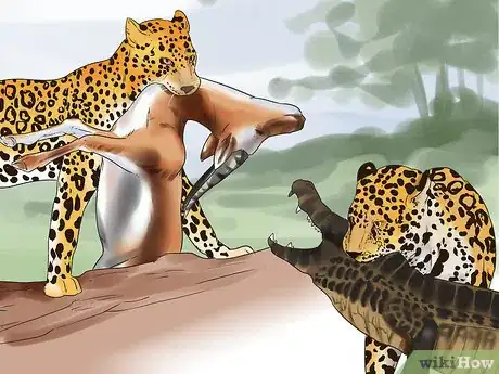 Imagen titulada Tell a Jaguar from a Leopard Step 5