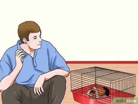 Imagen titulada Get Your Guinea Pig to Stop Biting You Step 6