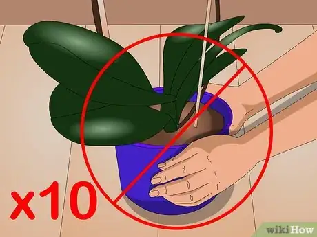 Imagen titulada Care for Indoor Plants Step 7