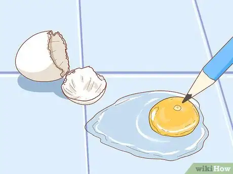 Imagen titulada Tell if a Bird Egg Is Infertile Step 3