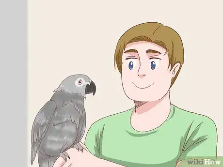 Imagen titulada Treat Feather Picking in African Grey Parrots Step 10