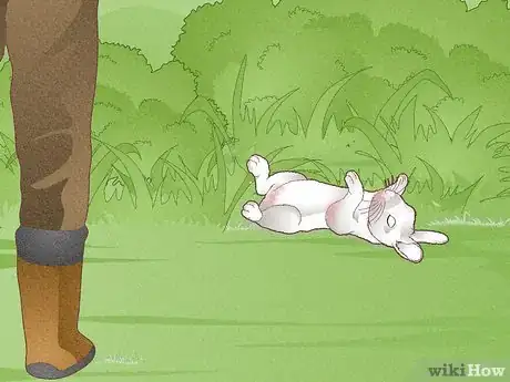 Imagen titulada Hunt Rabbit Step 17