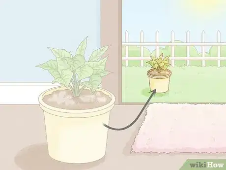 Imagen titulada Get Rid of Mold on Houseplants Step 6