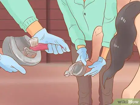 Imagen titulada Recognize and Treat Laminitis (Founder) in Horses Step 19