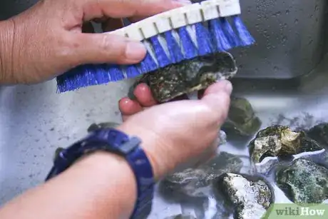 Imagen titulada Cook Oysters Step 1