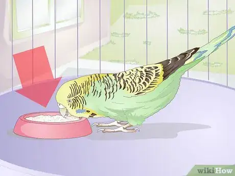 Imagen titulada Feed Budgies Step 4