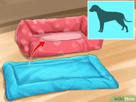 Imagen titulada Help Your Senior Dog Sleep Better Step 1