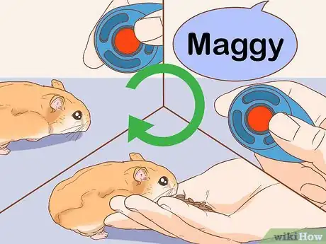 Imagen titulada Train Your Hamster to Come when You Call Step 12