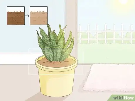 Imagen titulada Get Rid of Mold on Houseplants Step 2