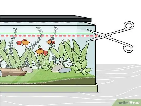 Imagen titulada Grow Freshwater Aquarium Plants Step 12